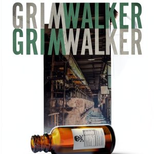 Swedish Fiction Kindle eBook Gyldendal Astra Mystery Novel-0