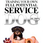 Service Dog Training Guide Kindle Book English Language-0
