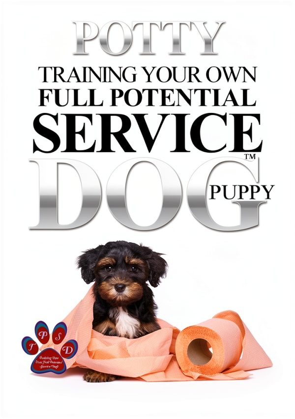 Service Dog Training Guide Kindle Book English Language-0